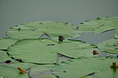 《收获日3》开发者：首个补丁已经发布 正在测试认证